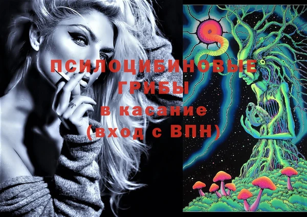 гидропоника Балахна